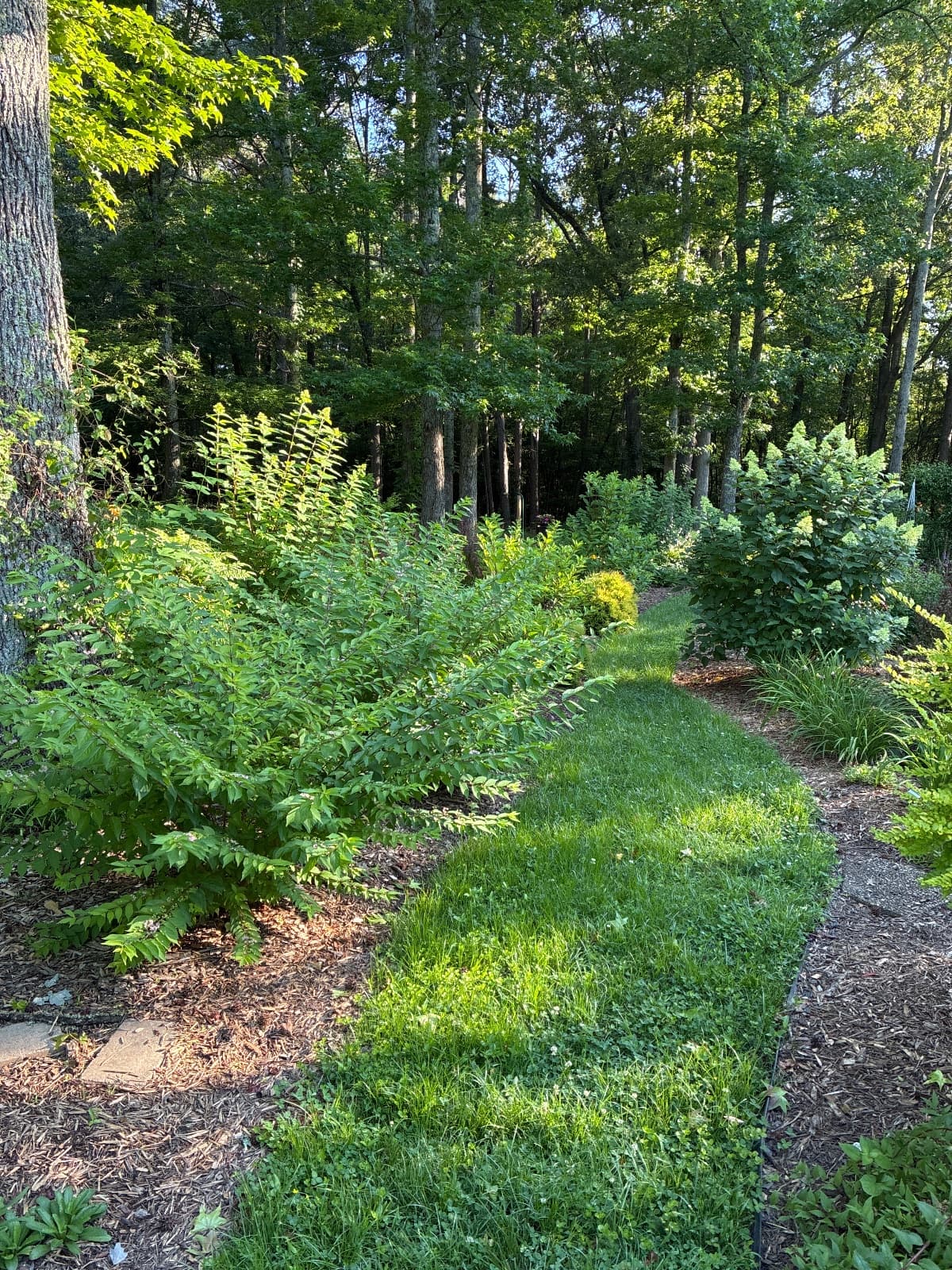 garden hero