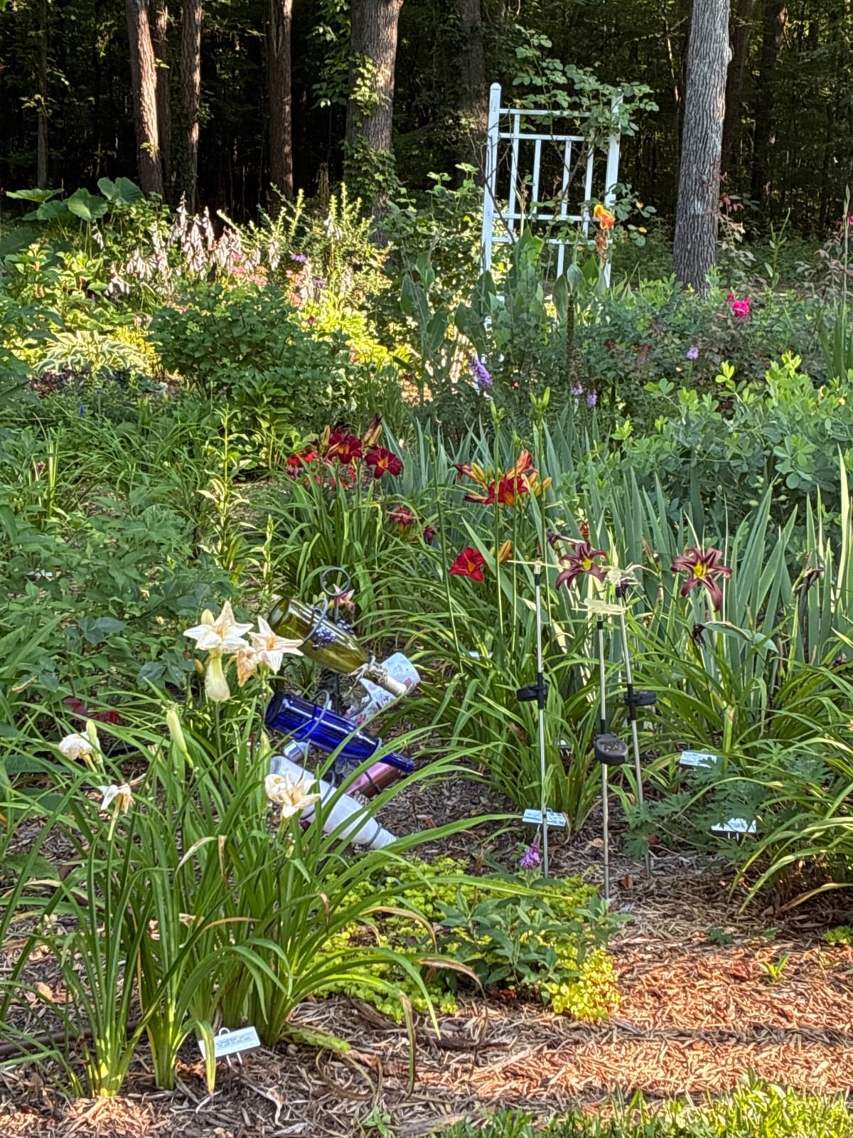 garden hero
