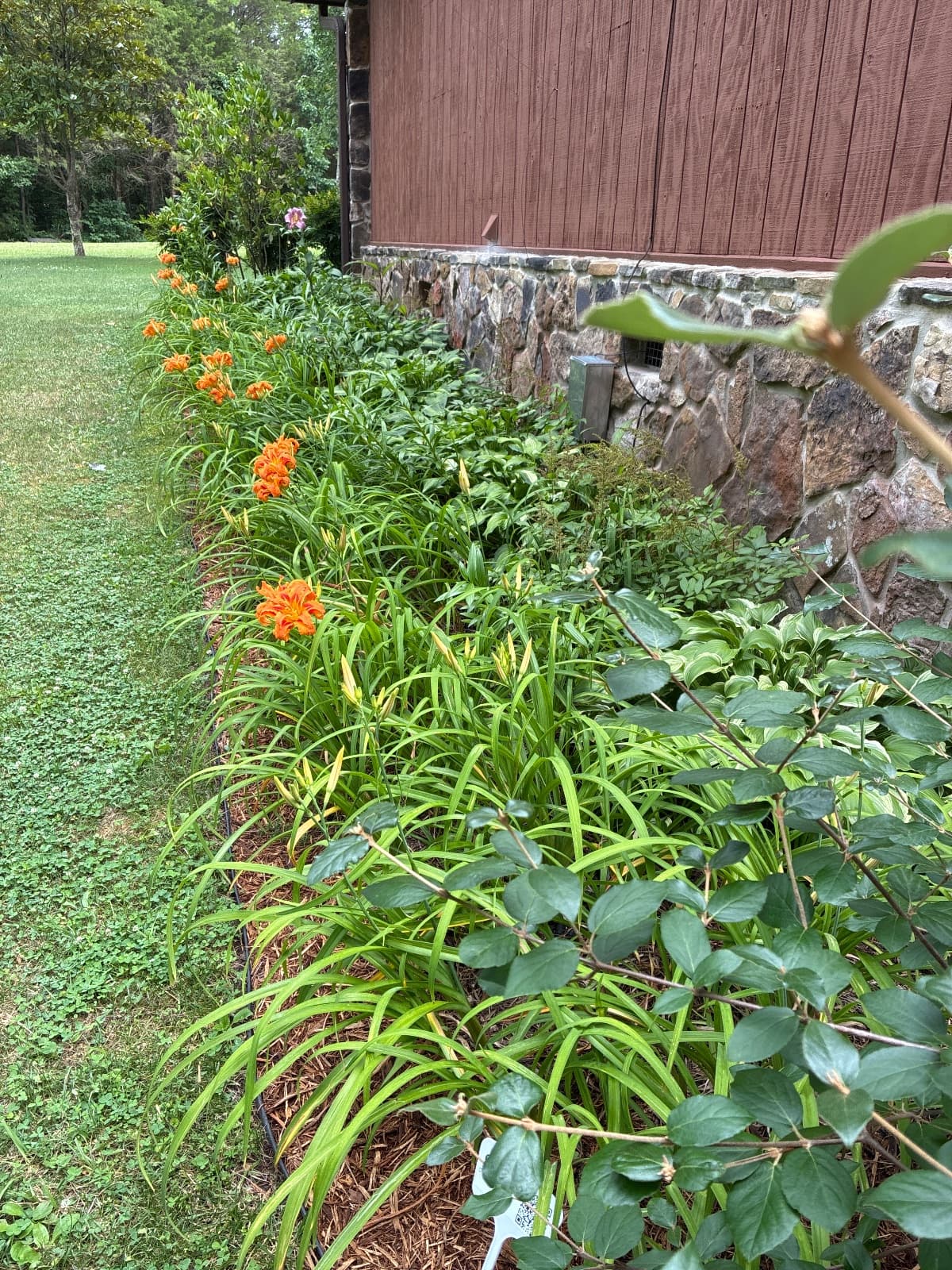 north garden
