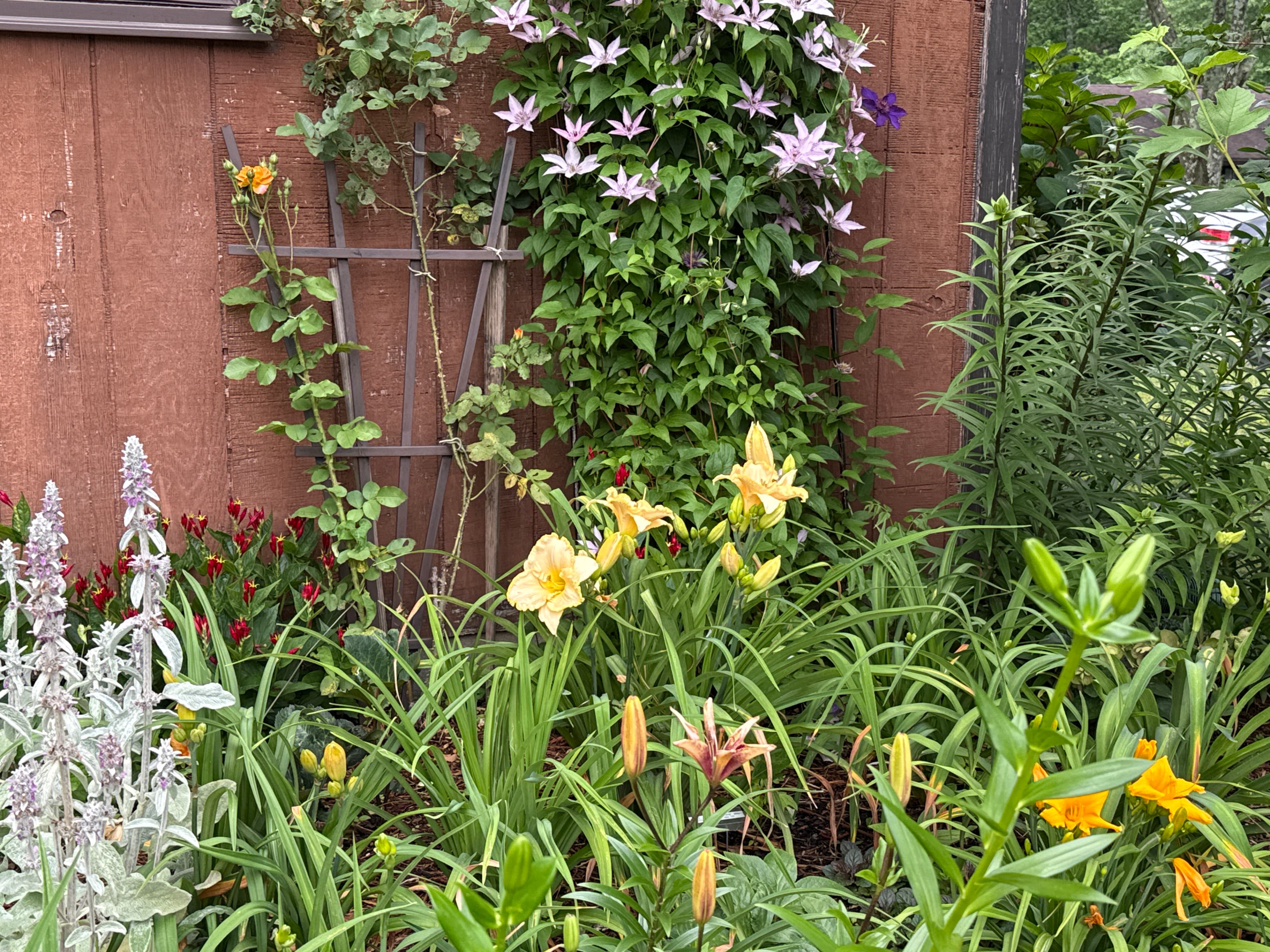 garden hero