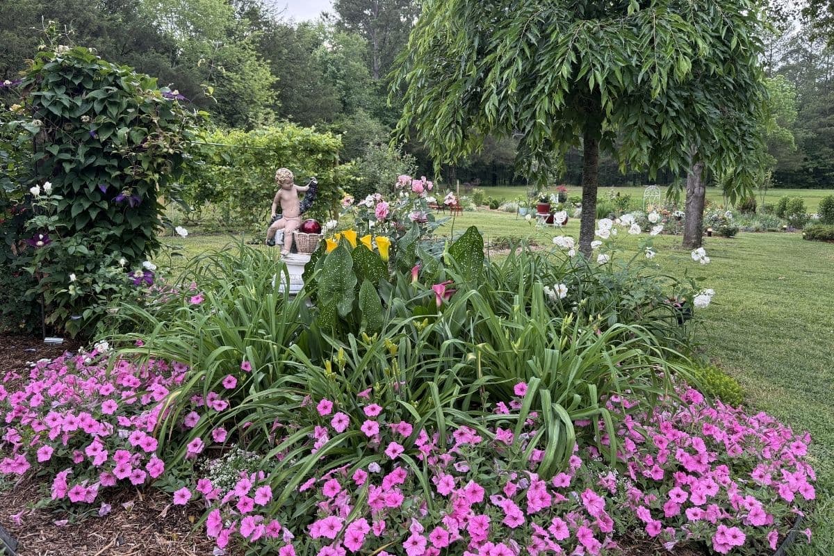 garden hero