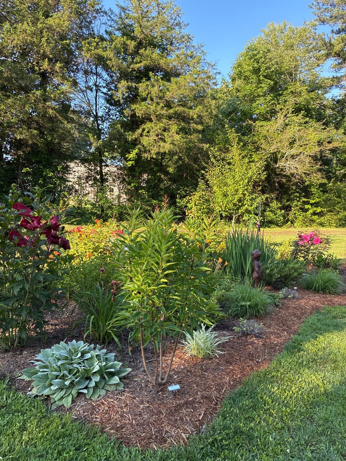 garden hero