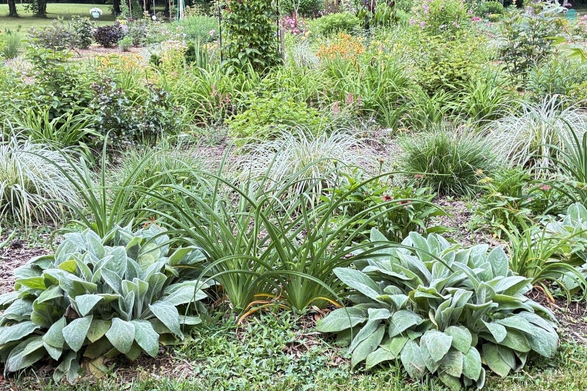 garden hero