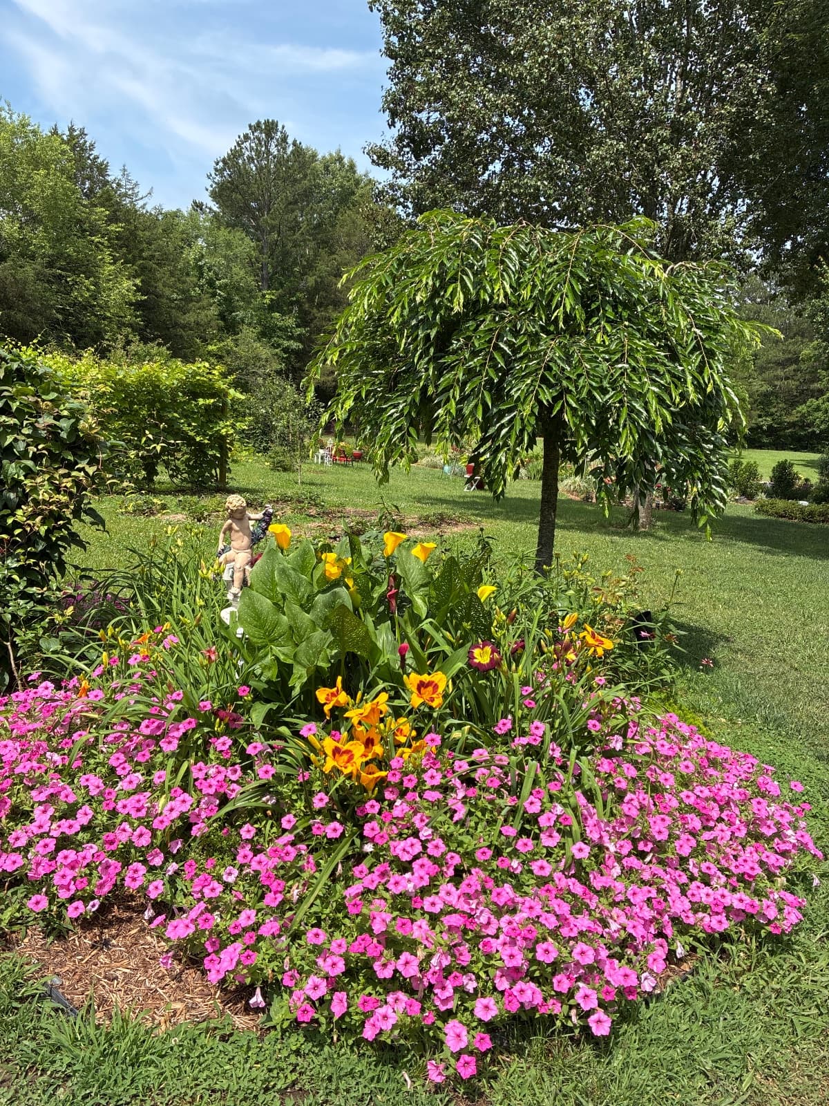 Overall view Garden 3
